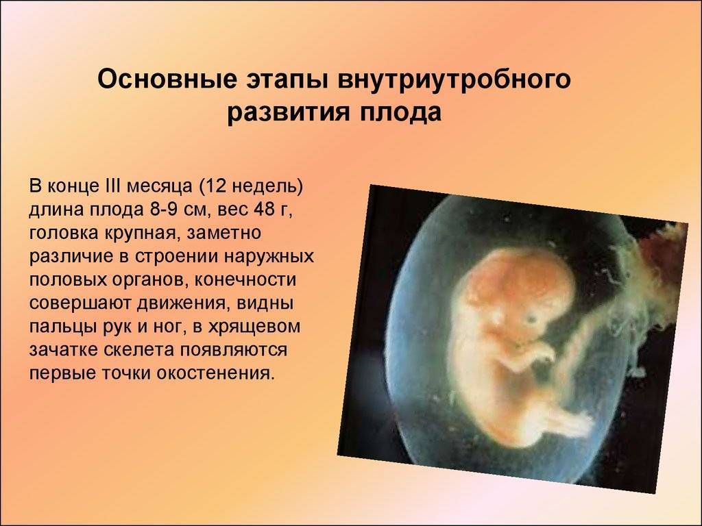 Признаки диастаза мышц живота