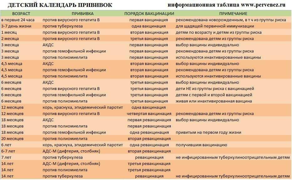 Вакцинация акдс – клиника «9 месяцев»