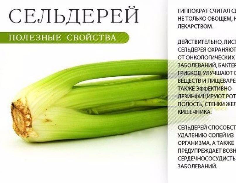 Можно ли корень и стебли сельдерея кормящим мамам: 5 рецептов блюд при лактации