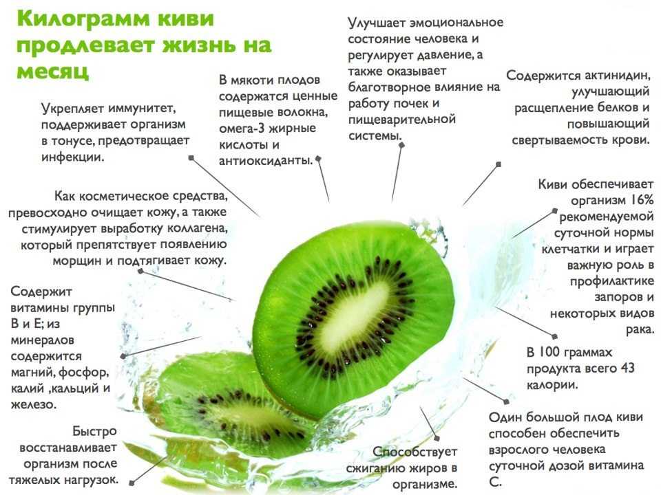 Киви при грудном вскармливании