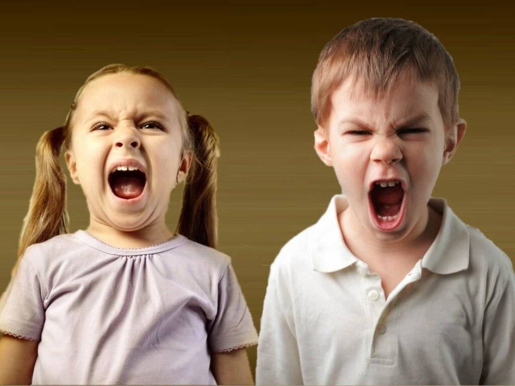 2 типа истерик у детей (истерика верхнего и нижнего мозга) и правильная реакция родителей