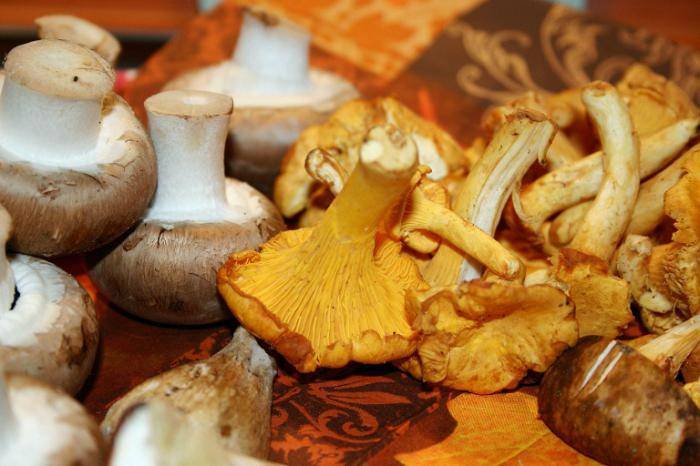 Можно ли грибы при грудном вскармливании: польза и вред шампиньонов, вешенок, белых грибов и лисичек при кормлении грудью