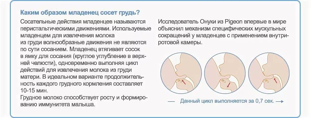 Когда можно ставить спираль после родов: какая лучше, через сколько ставить, отзывы | vseoallergii.ru