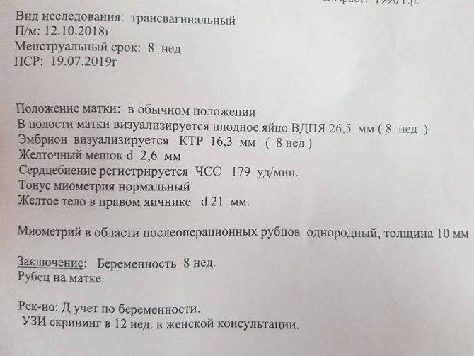 Чем важен желточный мешок