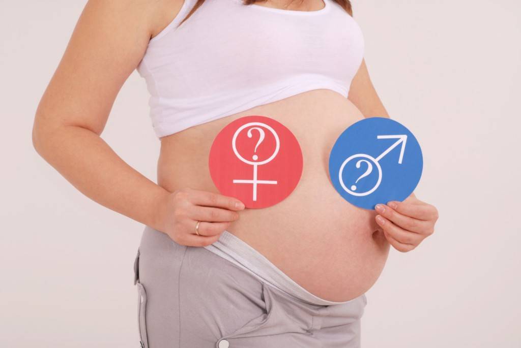 Как определить пол ребёнка по животу: особенности его формы при беременности мальчиком и девочкой (острый, круглый, прочее), фото