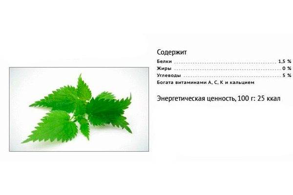 Топ препаратов при климаксе (менопаузе)