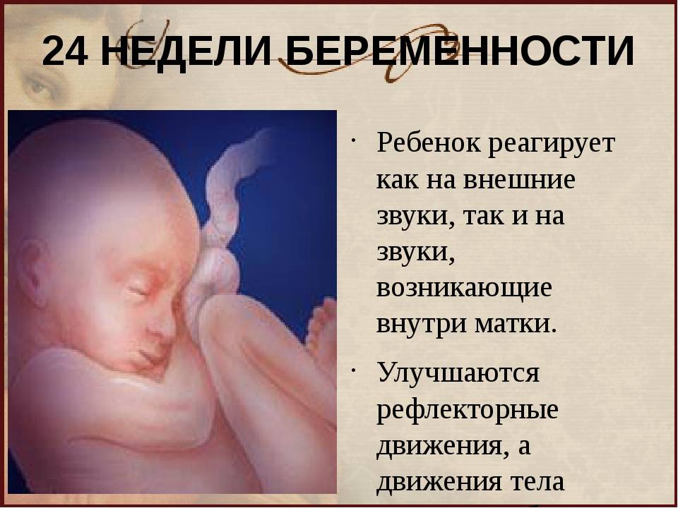 23 неделя беременности: что происходит с малышом и мамой, развитие плода, сколько месяцев — медицинский женский центр в москве