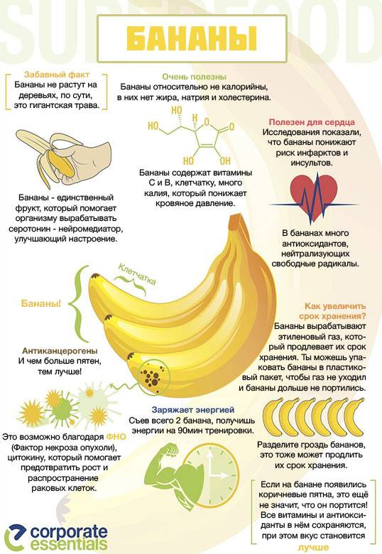 Можно ли бананы при грудном вскармливании новорожденного, когда и в каком количестве