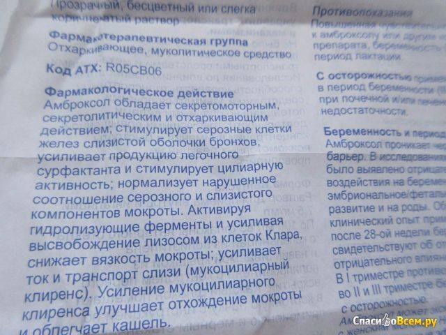 Грудной сбор №4