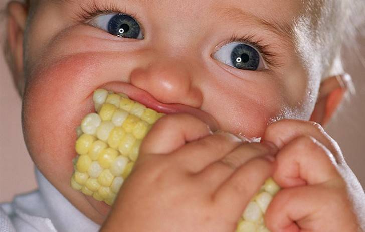 Вареная кукуруза детям - энциклопедия детское питание