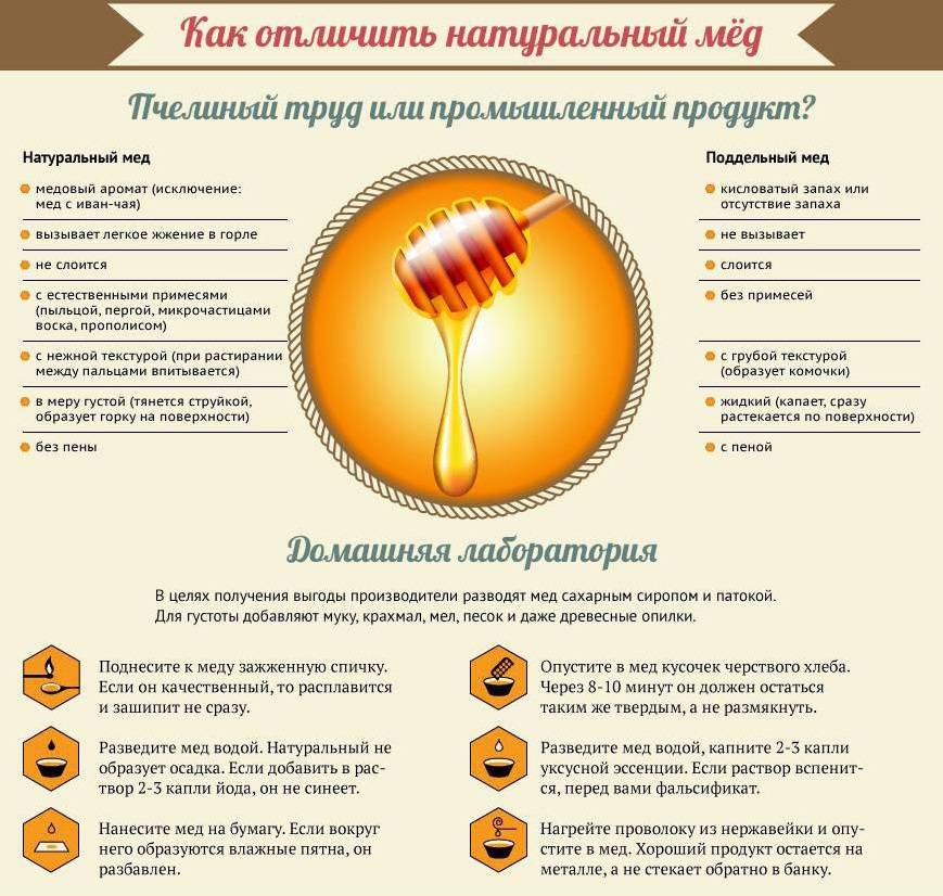 Как проверить мед на натуральность: 15 простых способов