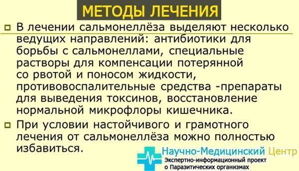 Сальмонеллез у детей - симптомы болезни, профилактика и лечение сальмонеллеза у детей, причины заболевания и его диагностика на eurolab