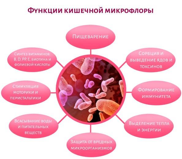 ➤ укрепление иммунитета ребенка после антибиотиков: 3 шага к здоровью