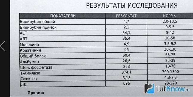 Биохимический анализ крови | расшифровка биохимии — астра-мед