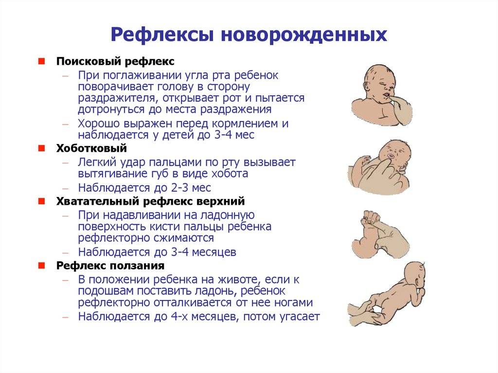 Рефлексы новорожденного. ваш малыш от рождения до двух лет