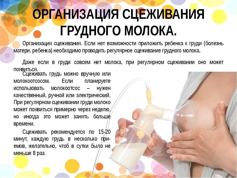 Массаж груди: как разработать грудные протоки и расцедить молоко после родов?
