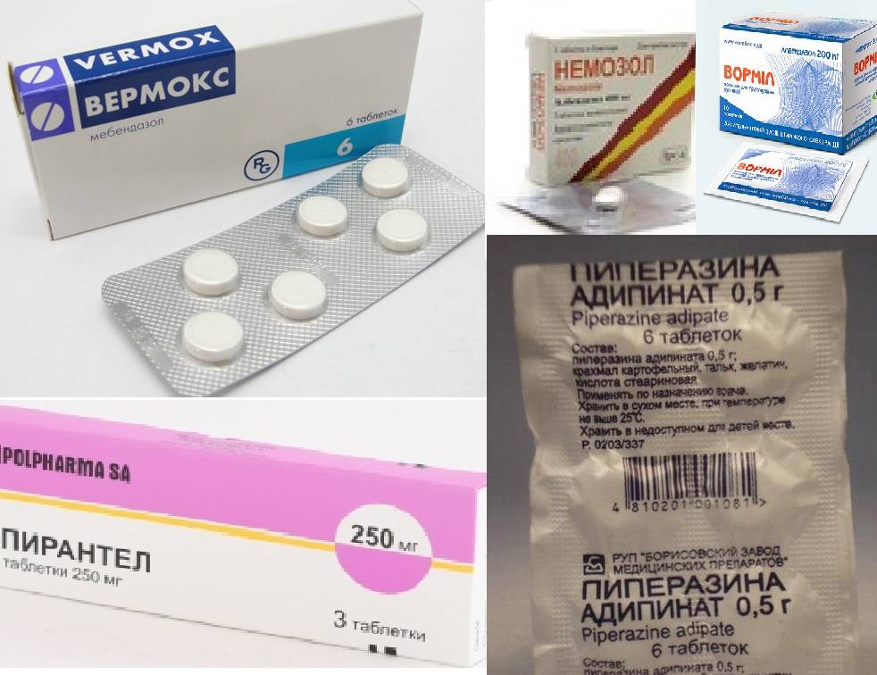 Препараты от гельминтоза у взрослых и детей – ответы на вопросы посетителей аптеки