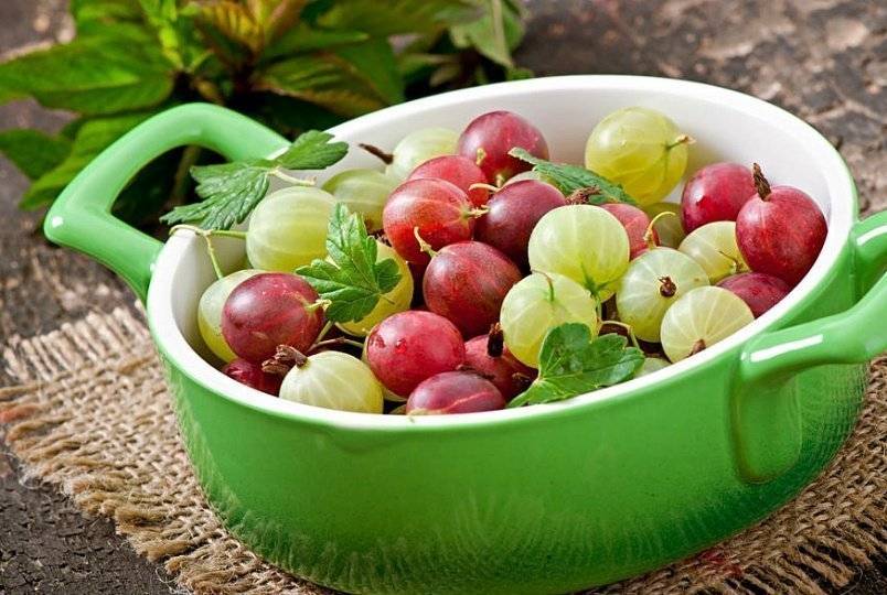 Ягоды и фрукты при грудном вскармливании: малина, крыжовник, сливы, персики