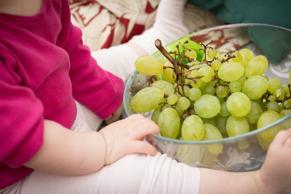 Виноград при грудном вскармливании: можно ли его кушать