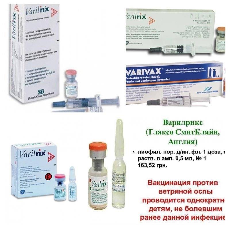 Вакцинация против ветряной оспы - цены в клинике семейный доктор, москва