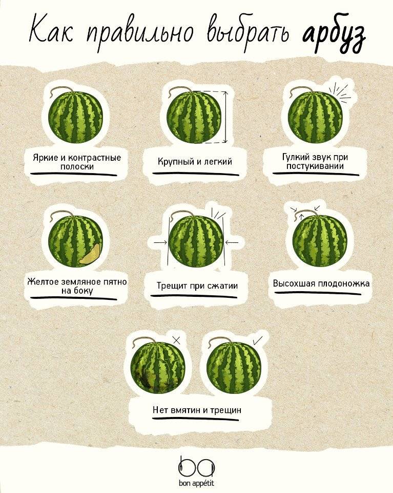 Лайфхак: как выбрать самый спелый и сладкий арбуз
