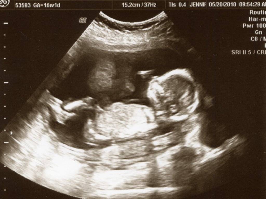 16 неделя беременности: что происходит в 4 месяц от зачатия?