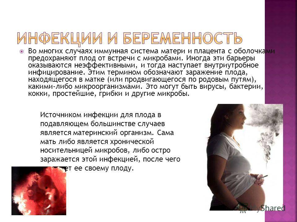 Уреаплазмоз во время беременности: симптомы, лечение и профилактика в клинике «евромедпрестиж»