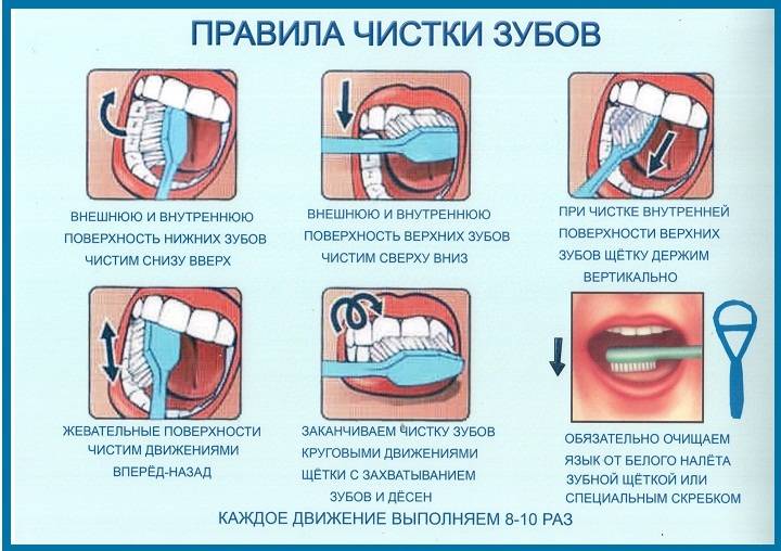 Зубной порошок: состав, как пользоваться, изготовление самостоятельно, вред и польза