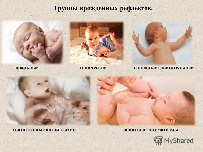 Рефлексы новорожденного у ребенка