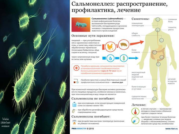 Какие продукты наиболее опасны в плане заражения человека сальмонеллезом ответ на тест