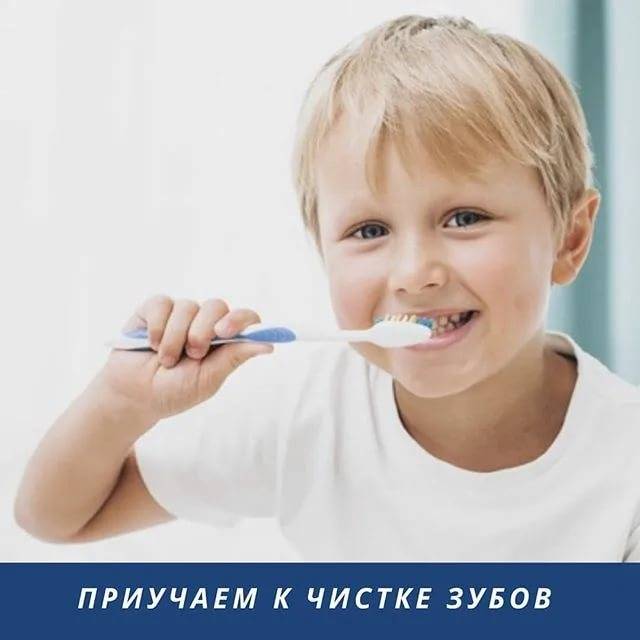 Как научить ребенка чистить зубы?