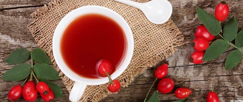 Полезный шиповниковый чай. как заварить его и не потерять витамин с? :: polismed.com