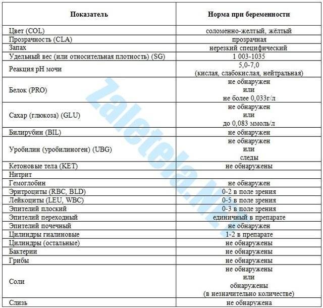 Анализ мочи по нечипоренко фото