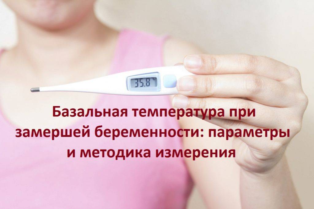 Температура при беременности на ранних сроках. что делать? | аборт в спб