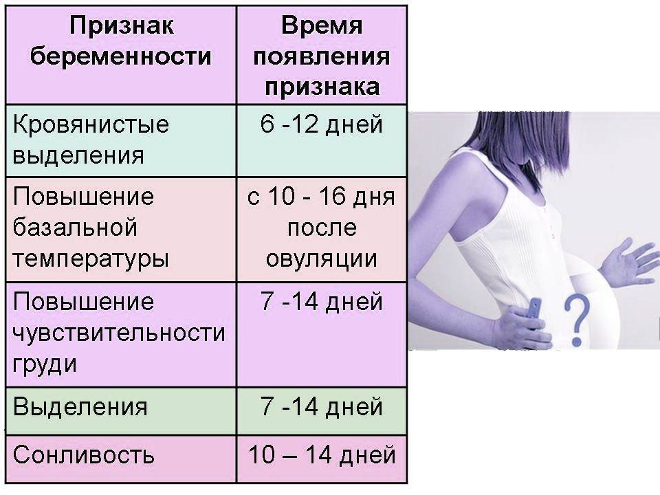 Первые признаки беременности (14 вариантов)