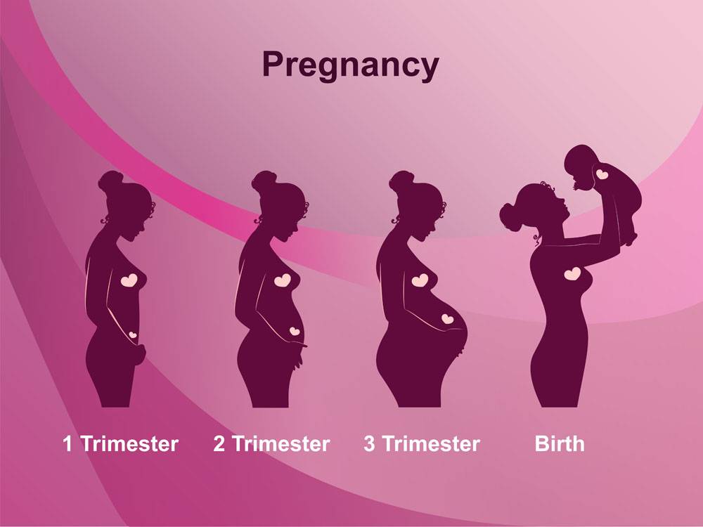 Третья беременность: особенности планирования, течения и родов, отличия от первой и второй, факторы риска, отзывы
