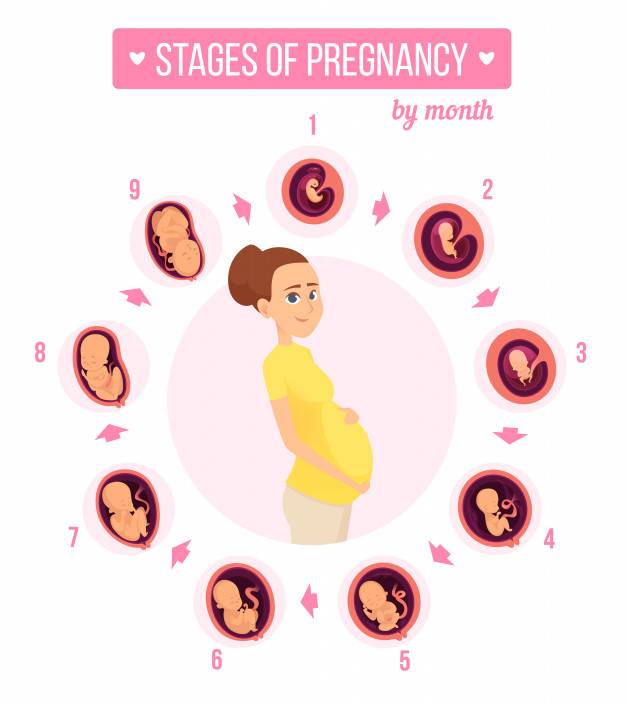 Какие бывают группы риска при беременности | «юнона»