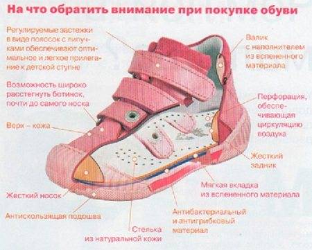 Требования к первой обуви для малыша, советы для родителей