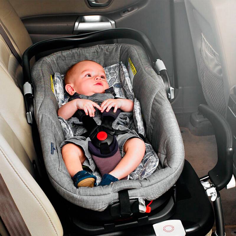 Переноска для новорожденных в машину: детская модель-автокресло, автомобильные варианты кресел-переносок для ребенка