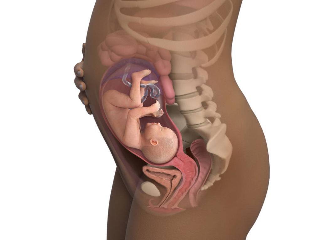 32 неделя беременности что происходит с малышом и мамой