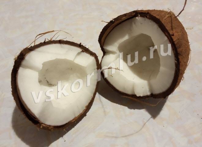 Можно ли употреблять кокос, молоко и масло из него при грудном вскармливании
