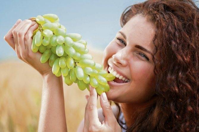 Можно ли кушать виноград кормящей матери