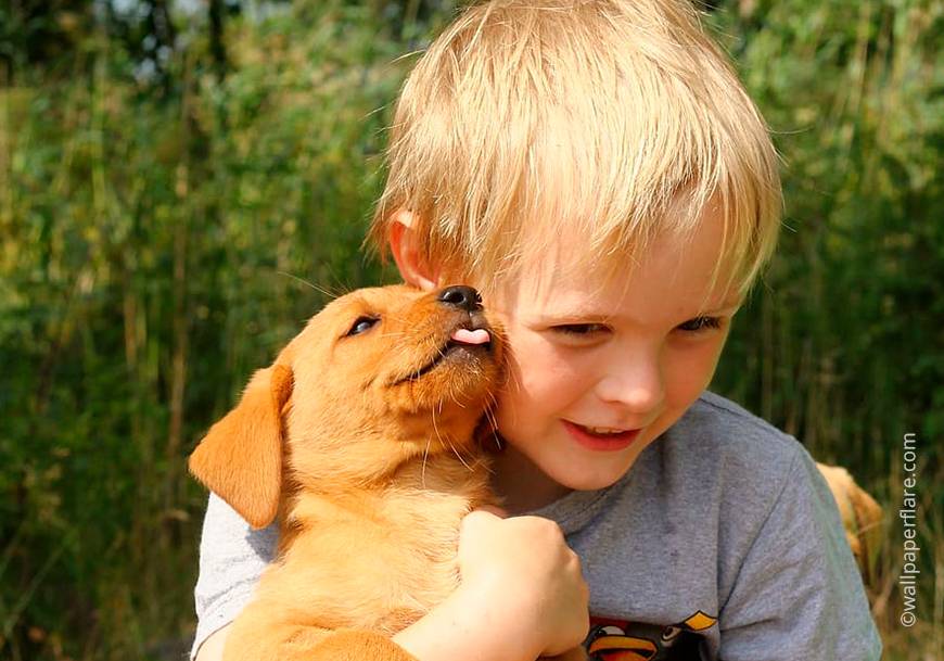 Ребенок просит завести собаку: как поступить. в каких случае покупать питомца необходимо, а когда не стоит - автор наталия овченко - журнал женское мнение