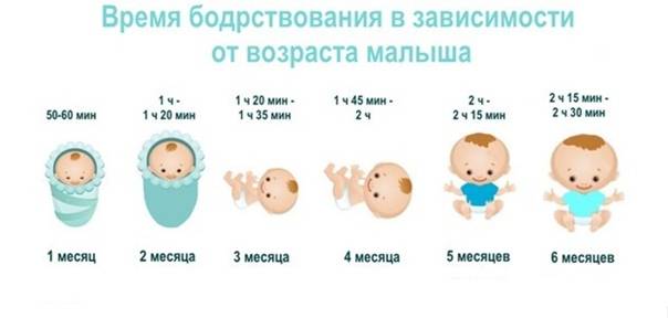 Время сна младенца по месяцам