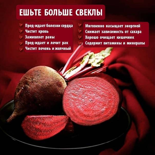 Свёкла при грудном вскармливании: можно ли есть в первые месяцы?