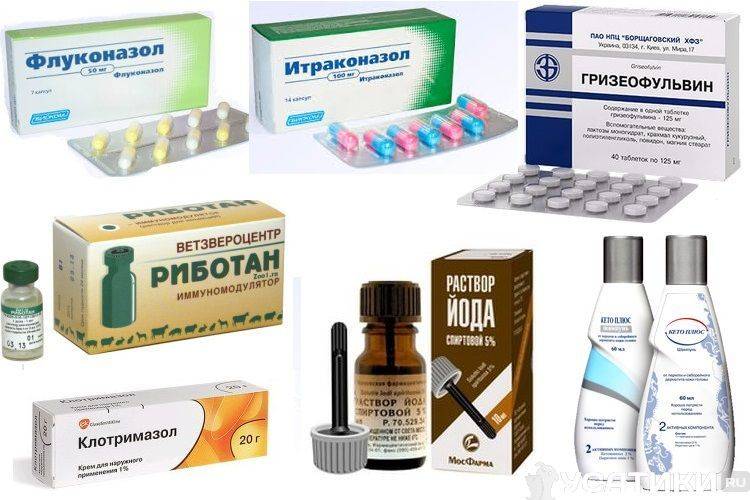 Розовый лишай и его лечение у детей и взрослых: избавление от симптомов и причин