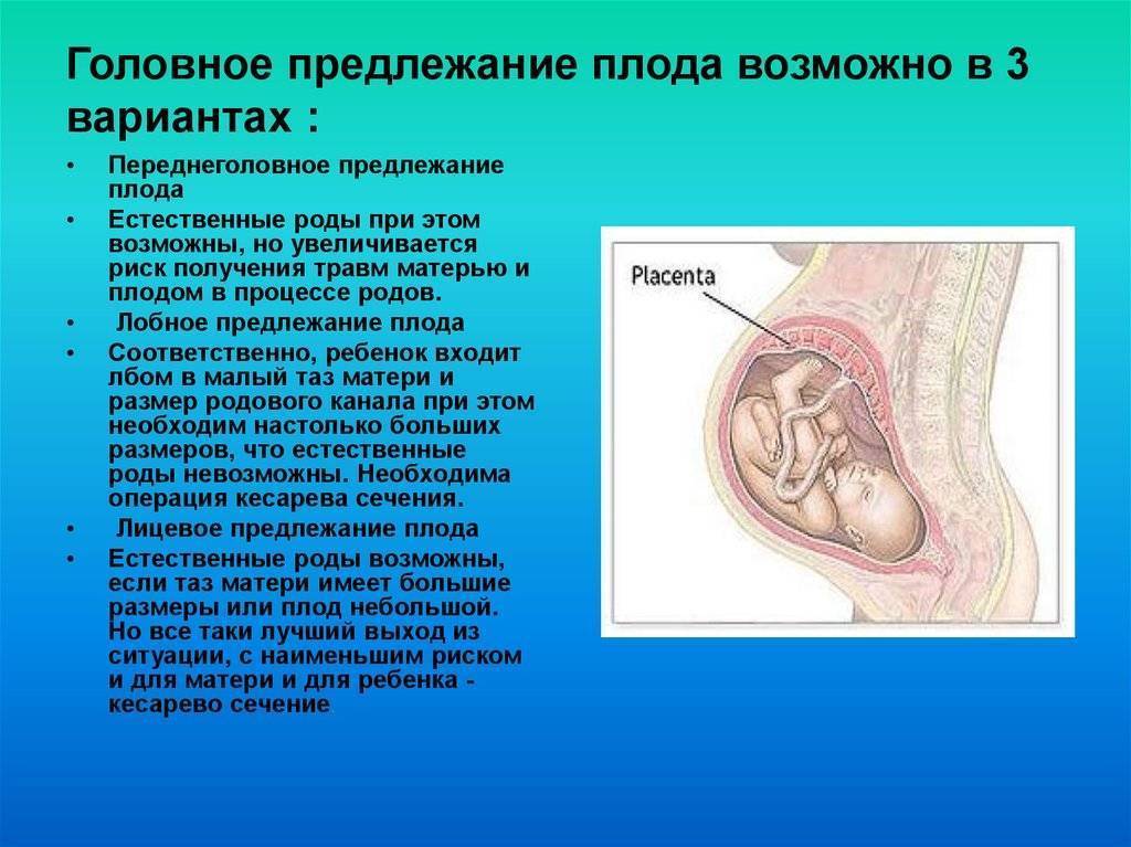 Что такое предлежание плода: виды, положение ребенка в матке по неделям беременности, перед родами