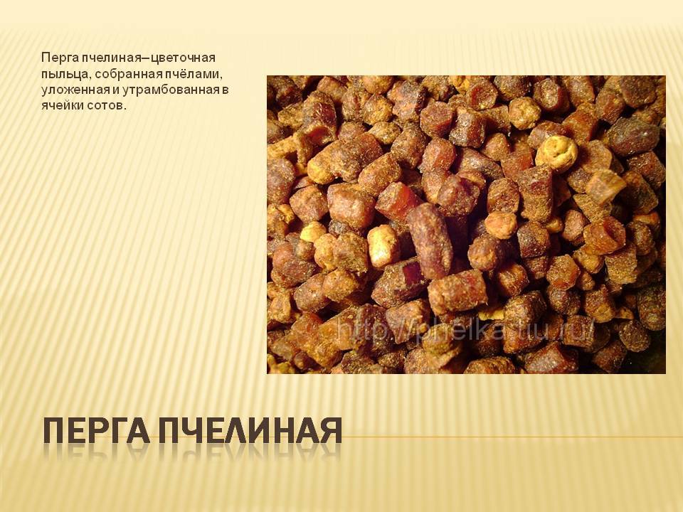 Пчелиная перга для человека