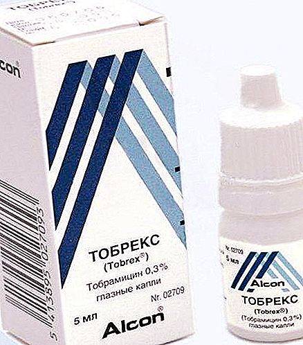 Тобрекс в новокузнецке