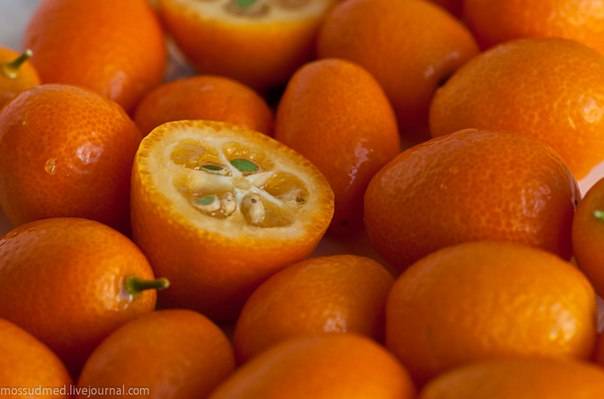 Кумкват: полезные свойства и противопоказания для организма, что за фрукт, нужно ли чистить